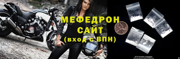 сатива Новозыбков