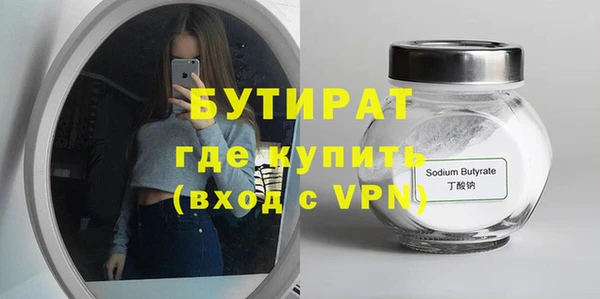 сатива Новозыбков