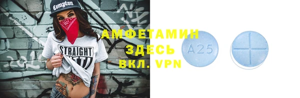 сатива Новозыбков