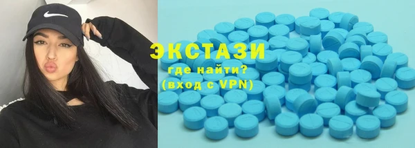 сатива Новозыбков