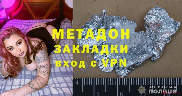 сатива Новозыбков