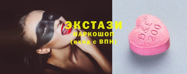 сатива Новозыбков