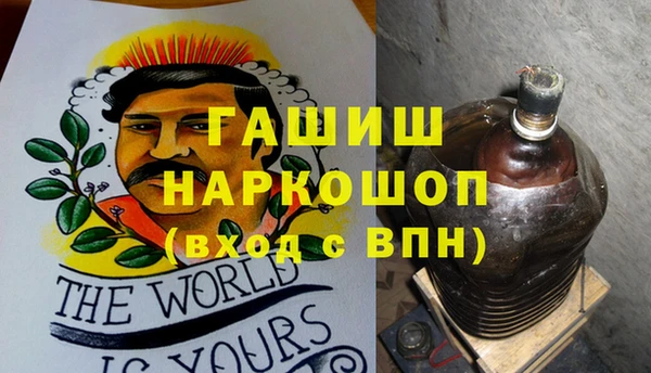 сатива Новозыбков
