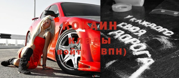 сатива Новозыбков