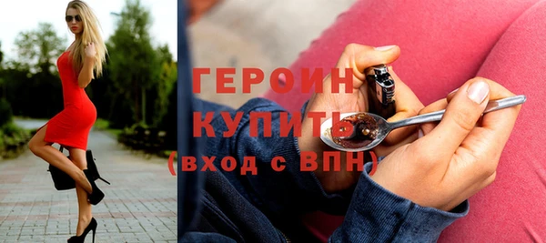 сатива Новозыбков