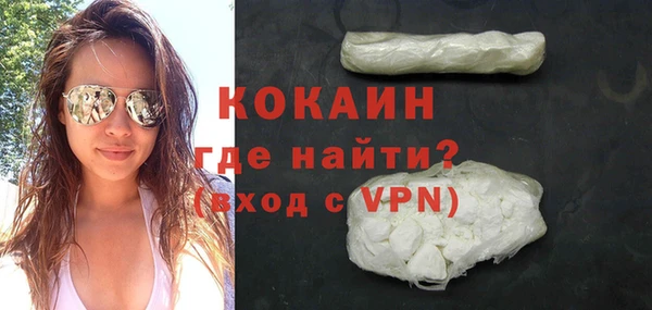 сатива Новозыбков