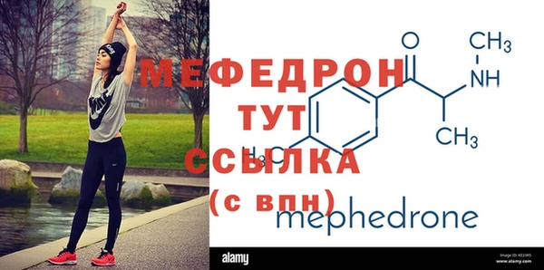 сатива Новозыбков