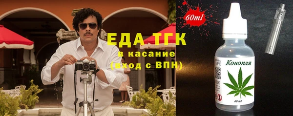 сатива Новозыбков