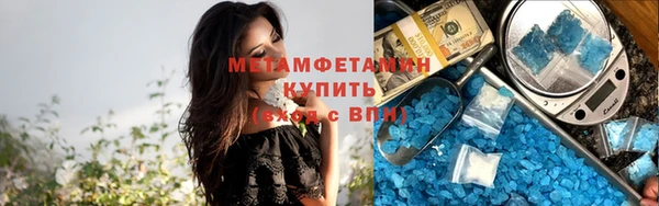 сатива Новозыбков